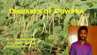 Diseases of Cowpea  Pulses  Plant Pathology  Exam Oriented  NET 2021 [upl. by Reyotal484]