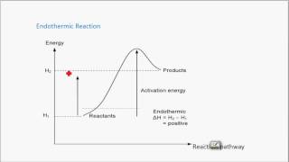 CSEC Chemistry  Chemical Energetics 1 [upl. by Wira]