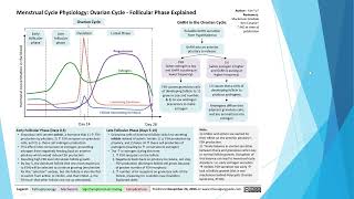 Female Reproductive Anatomy and Ovarian Cycle [upl. by Tailor804]