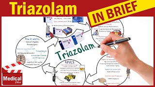 Triazolam Halcion What is Triazolam Used For Dose Side Effects Contraindications amp Precautions [upl. by Rramed263]