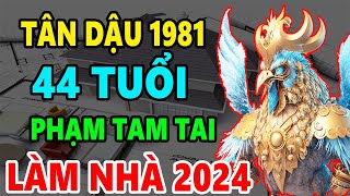 Tân Dậu 1981 44 Tuổi Phạm Tam Tai Có Xây Nhà năm 2024 Được Không Xây Thế Nào Tốt Nhất [upl. by Nailij]