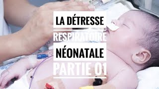 La détresse respiratoire néonatale partie 01 [upl. by Liatnahs]