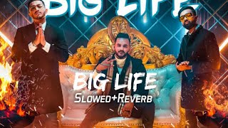 BIG LIFE SlowedReverb  Fukra Insaan Ft Drrvn amp Parth [upl. by Neelyak]