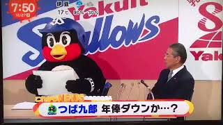 今日はつば九郎の契約更改 前回の契約更改では2万2000円とヤクルト飲み放題でサインした [upl. by Marsh]