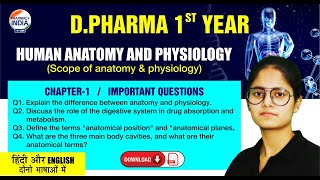 Human Anatomy amp Physiology  Chapter  1  Imp Questions amp Answers  DPharma 1 Year hap bteup [upl. by Nosirrah]