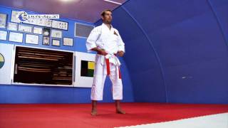 KARATE VIDEO Yellow Belt KARATE KATA GoshinDo Ichi  Sogo Goshindo [upl. by Eilsek300]