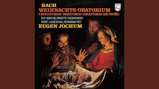 JS Bach Weihnachtsoratorium BWV 248 Pt 2 quotFor the Second Day of Christmasquot  No 15 Aria [upl. by Airelav]