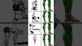 HOW TO GROW YOUR CALVES Best Exercises for Stronger Legs [upl. by Avilys]