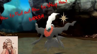 HOW TO FIND AND SHINY HUNT DARKRAI Pokemon BDSP [upl. by Ydnam]