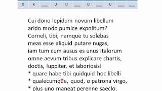 Catullus Hendecasyllabic Meter Lecture 05 of 05 [upl. by Devad]