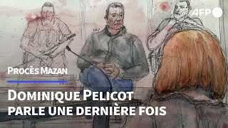 Procès des viols de Mazan Gisèle quotn’était pas une femme soumisequot selon Dominique Pelicot  AFP [upl. by Cherin170]