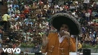 Vicente Fernández  Falsa En Vivo [upl. by Arrik495]