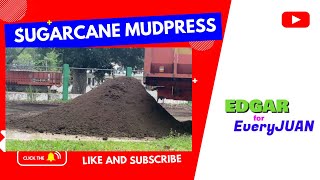 Sugarcane Mudpress [upl. by Gabi]