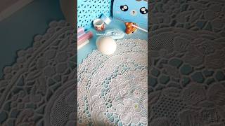 Cute egg shell diy idea 😲youtube diy shorts viral [upl. by Emmalynne13]