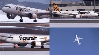 240224 旭川空港 国際線 Tigerair A320200N B50026 Arrival amp Departure at Asahikawa Airport RJEC [upl. by Mccullough866]