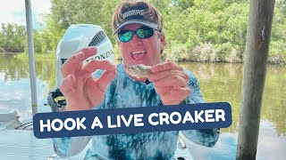 The BEST WAY to Hook a Live Croaker [upl. by Maitilde]