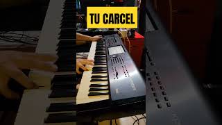 Los Bukis  Tu Carcel losbukis tucarcel tutorialdepiano [upl. by Chappy]