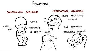 Cryptococcus neoformans infection  symptoms pathophysiology diagnosis treatment [upl. by Halac]