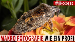 Makro Fotografie  So machst du FREIHÄNDIG SCHARFE Makro Fotos wie ein Profi  perfekte Ausleuchtung [upl. by Llenrac]