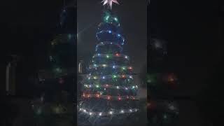 Lets decorate the Christmas tree together christmastree light shotrs [upl. by Allekim]