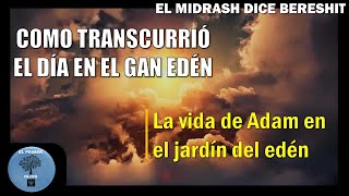 EL MIDRASH DICE BERESHIT  Cómo transcurrió el día en el Gan Edén  El primer Olivo  Adan en Edén [upl. by Eloise]