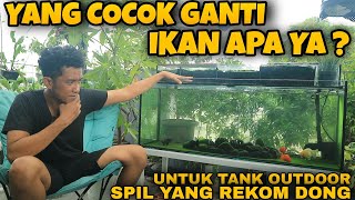 Kasih Ide dong  di ganti ikan apa di tank outdoor ini [upl. by Payne944]