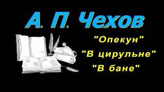 А П Чехов короткие рассказы quotОпекунquot аудиокнига A P Chekhov short stories audiobook [upl. by Yevrah]