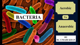 Aerobic Vs Anaerobic Bacteria by Dr Umair Khan I Bacteriology I Microbiology [upl. by Eatnod]