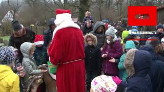 Weihnachtliche Fütterung im Tierpark Sababurg 24122024 [upl. by Etom]