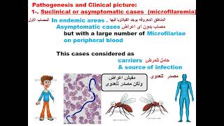 Parasitology ASU Blood module Filaria Wucheraria bancrofti [upl. by Lawtun]