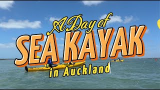 Day Sea Kayak Tour in Auckland  Auckland Sea Kayaks St Heliers Bay Browns Island [upl. by Esch836]