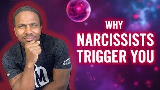 Why Narcissists Set You Off On Purpose [upl. by Andras]