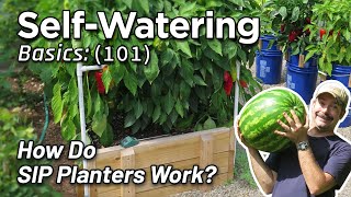 Selfwatering Planter Basics How to Design DIY Gardening Subirrigated Wicking Beds Albopepper [upl. by Arua]