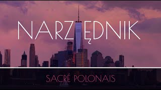 🇵🇱COURS DE POLONAIS ONLINE 🇵🇱 déclinaison polonaise  NARZĘDNIK instrumental [upl. by Atekehs]