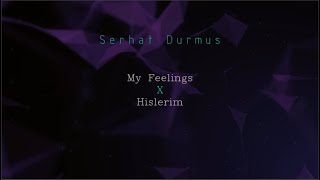 Hislerim X My Feelings Serhat Durmus Mashup [upl. by Erodaeht]