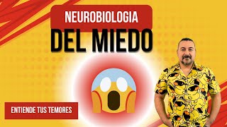 Ep 04x02  Neurobiología del Miedo [upl. by Esenwahs]