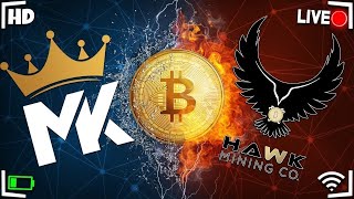 Terrahash Tuesday w Hawk Crypto Mining Co [upl. by Mcclelland785]