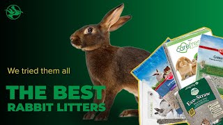 Top 6 Best Rabbit Litters We Tested Them All [upl. by Nosna]