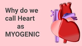 Why do we call Heart as MYOGENIC HINDI [upl. by Fair]