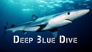 Adventure Africa  Deep Ocean Diving [upl. by Eiddal]