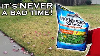 It’s not too late to prevent weeds Spectracide Weed Stop PreEmergent can help if you use it right [upl. by Mharg118]