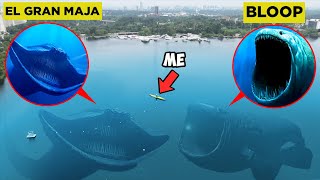 Drone Catches GIANT EL GRAN MAJA amp GIANT BLOOP IN REAL LIFE EL GRAN MAJÁ OCEAN [upl. by Etneciv819]