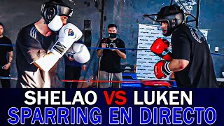 ¡SHELAO y LUKEN HACEN SPARRING en DIRECTO tras sus DIFERENCIAS [upl. by Ahtekal]