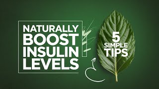 NATURALLY Boost Your Insulin Levels with These 5 Simple Tips [upl. by Eilyr]