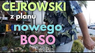 Cejrowski z planu nowego BOSO [upl. by Akerley247]