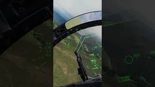 dcs FLANKER NO FLANKING [upl. by Berners]