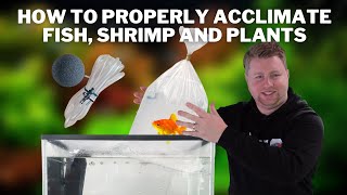 How to Properly Acclimate and Add Fish Shrimp amp Plants to Your Aquarium when Ordering Online [upl. by Atsed]