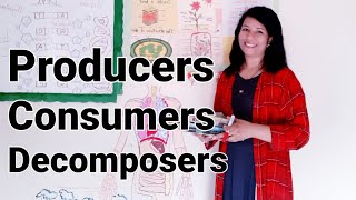 Producer Consumer Decomposer Biology EducatorSharmin [upl. by Hillyer]