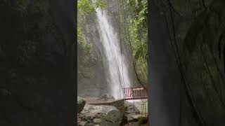 Air Terjun di Tegalalang Bali [upl. by Stratton]