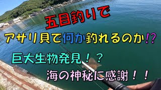 【五目釣り】アサリ貝で釣れるのか挑戦！巨大生物も登場し海の神秘に感謝！！ [upl. by Gennifer]